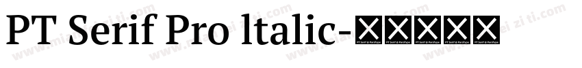 PT Serif Pro ltalic字体转换
